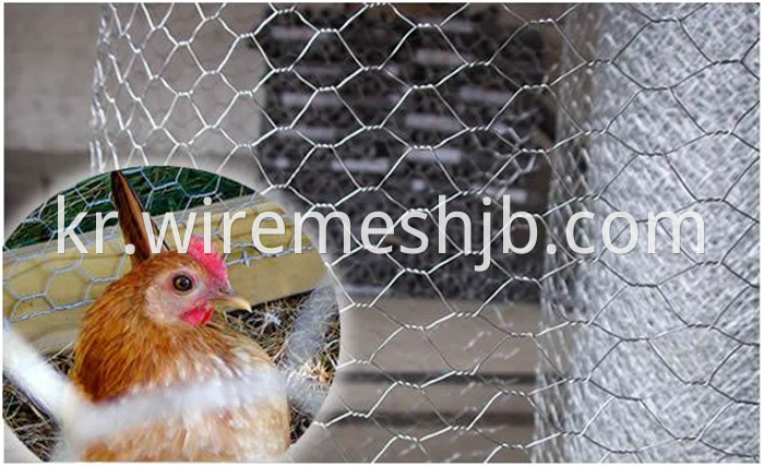 Hexagonal Poultry Netting